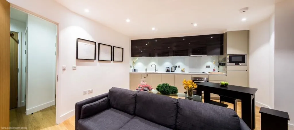 1 bedroom apartment for rent