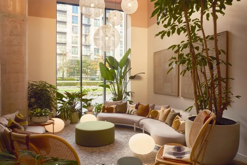 1 bedroom apartment for rent