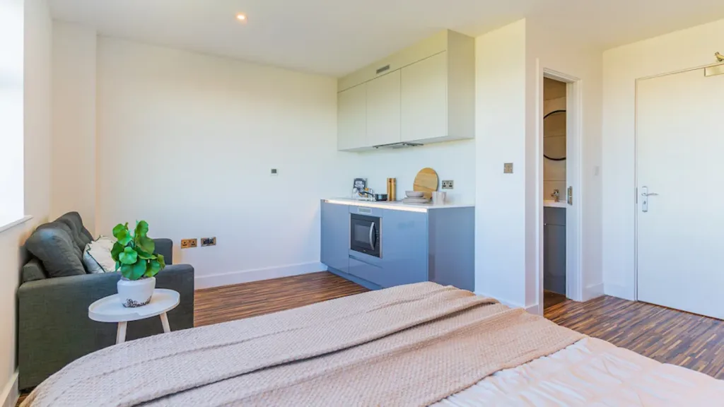1 bedroom apartment for rent