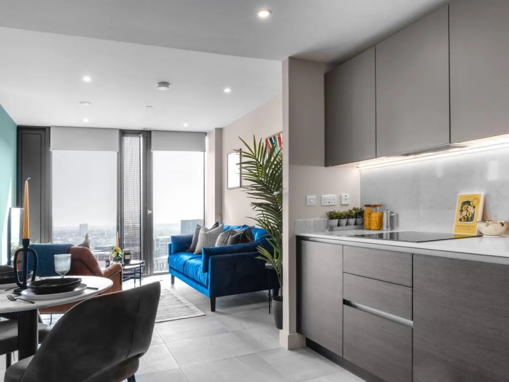 1 bedroom apartment for rent