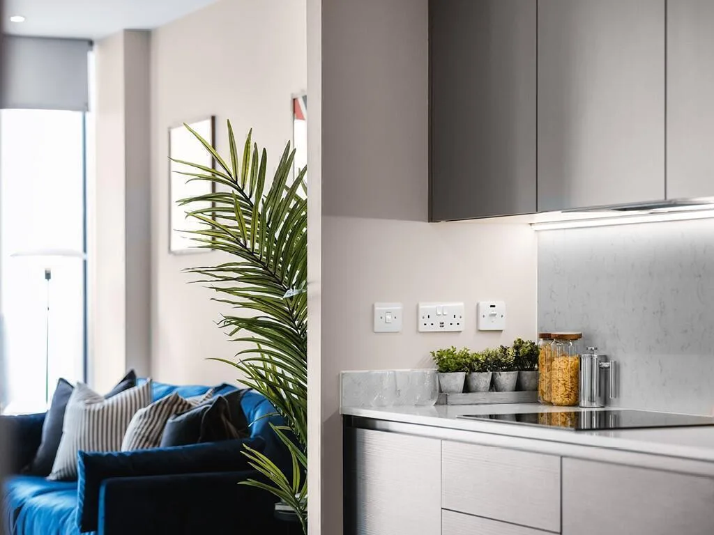 1 bedroom apartment for rent