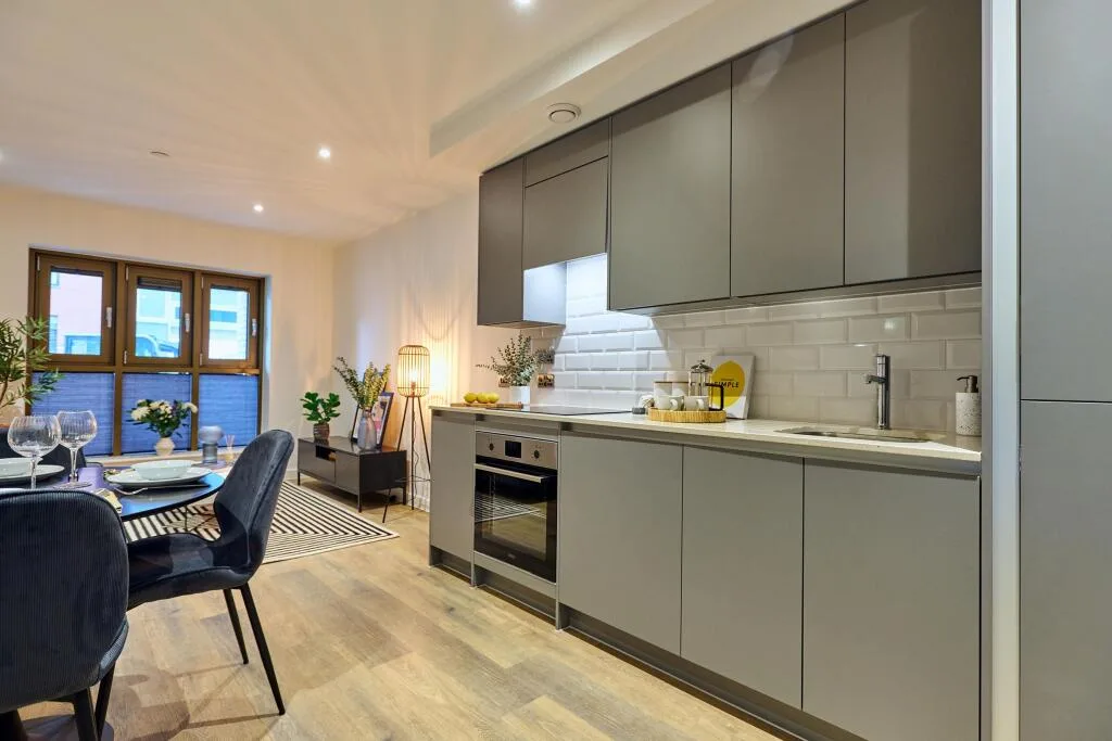 1 bedroom apartment for rent