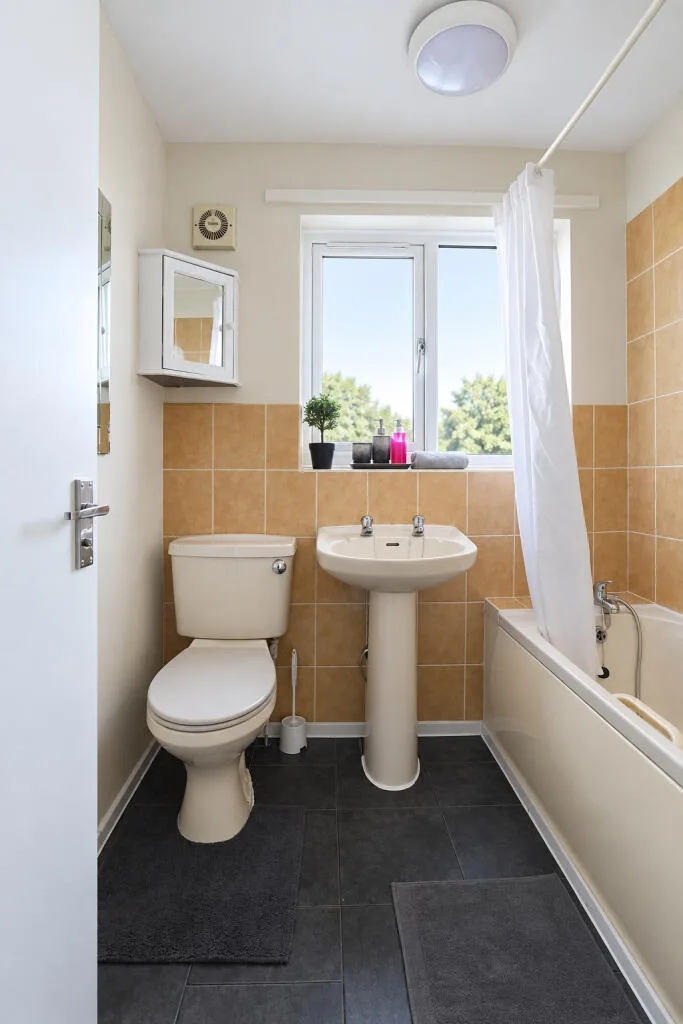 2 bedroom house for rent