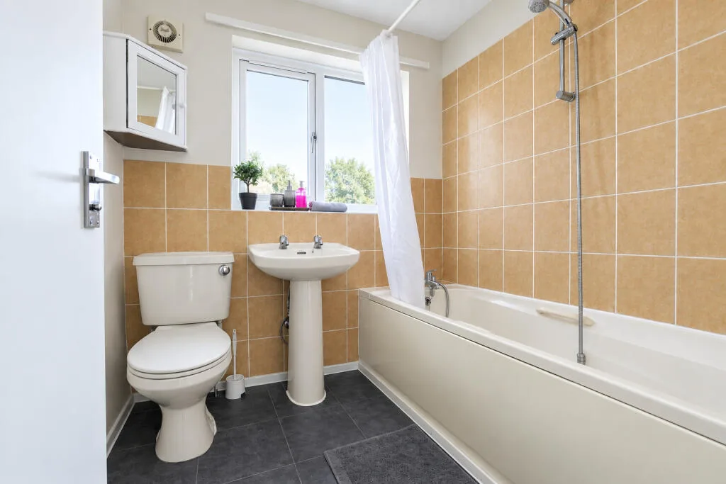 2 bedroom house for rent