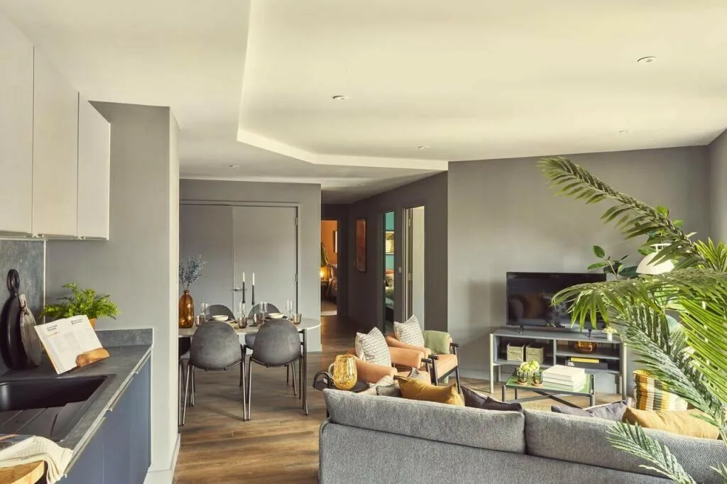3 bedroom flat for rent