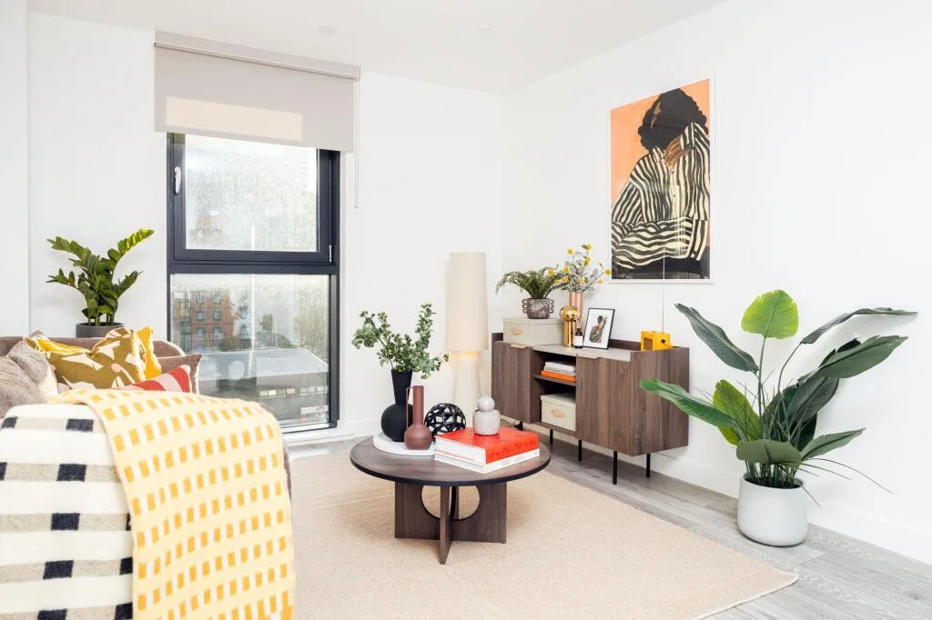 1 bedroom apartment for rent