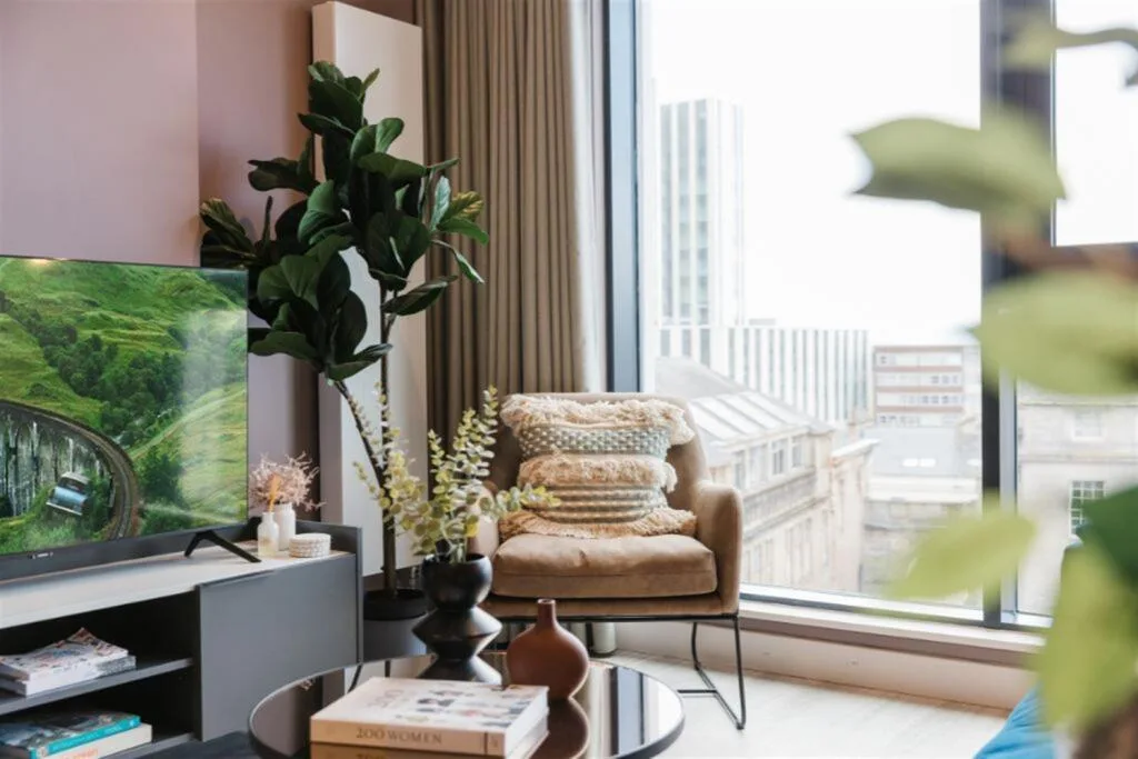 1 bedroom apartment for rent