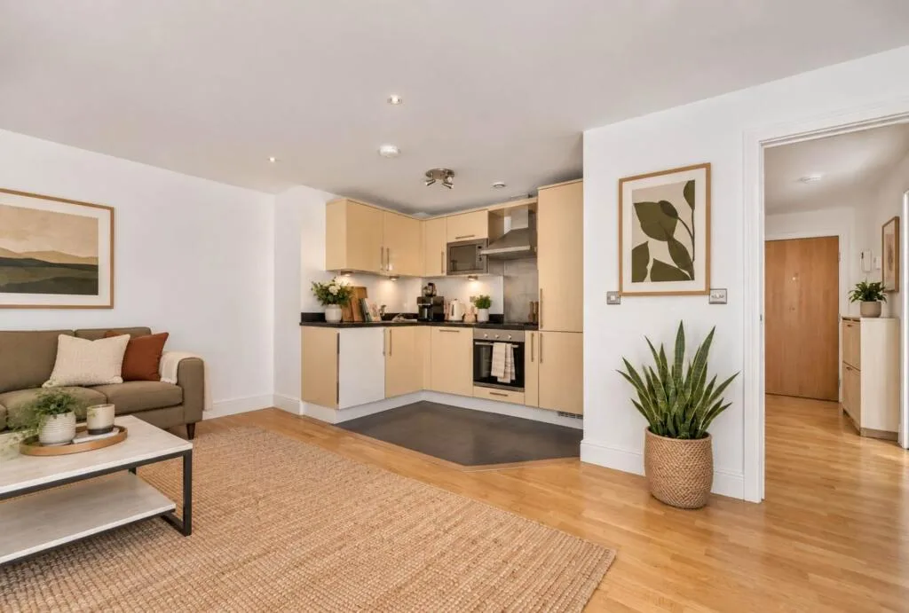 1 bedroom apartment for rent