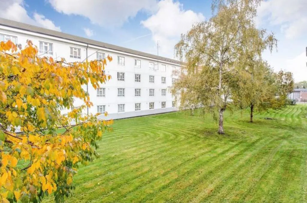 4 bedroom flat for rent