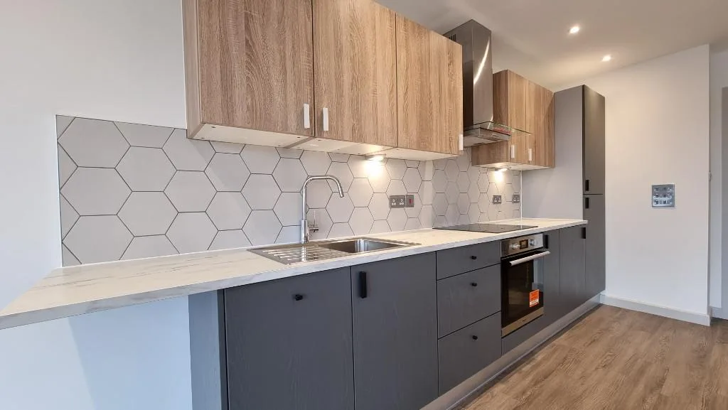 1 bedroom penthouse for rent
