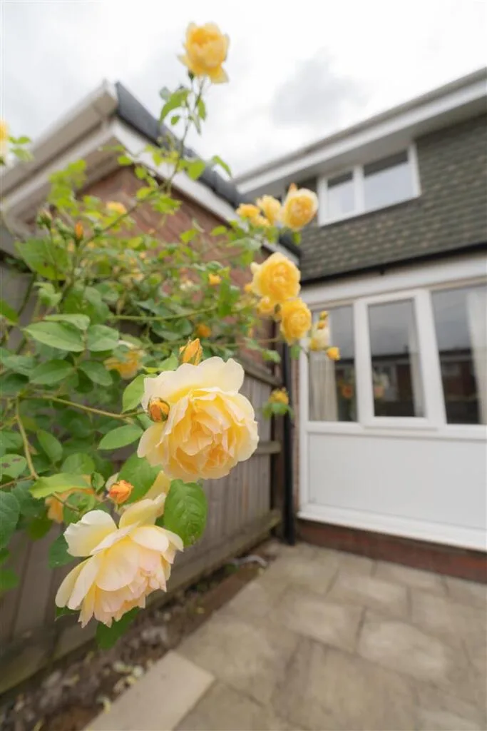5 bedroom terraced house for rent