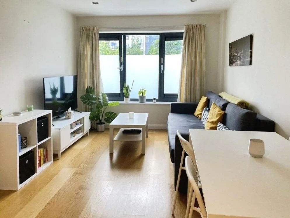 1 bedroom apartment for rent