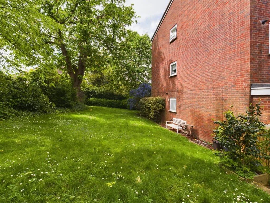 3 bedroom house for rent