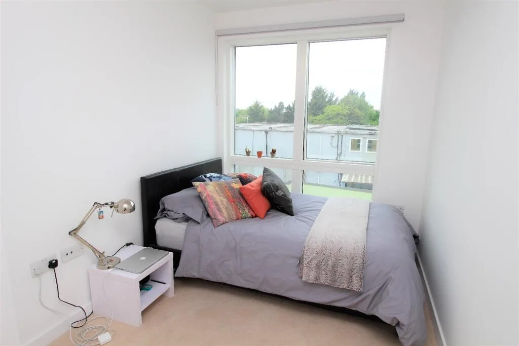 3 bedroom house for rent