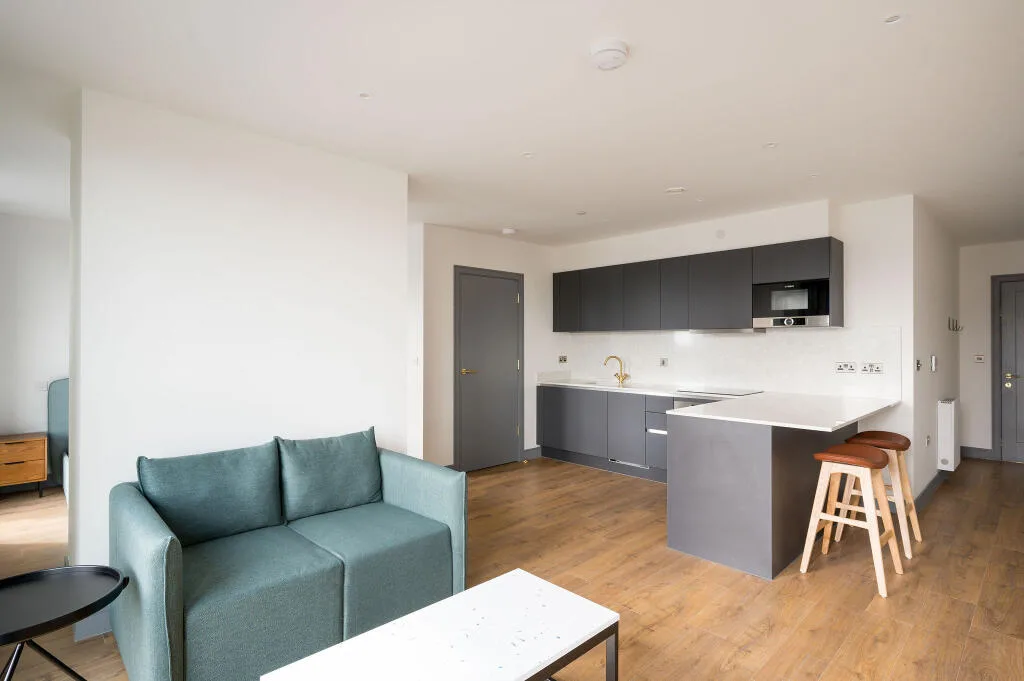 Studio flat for rent