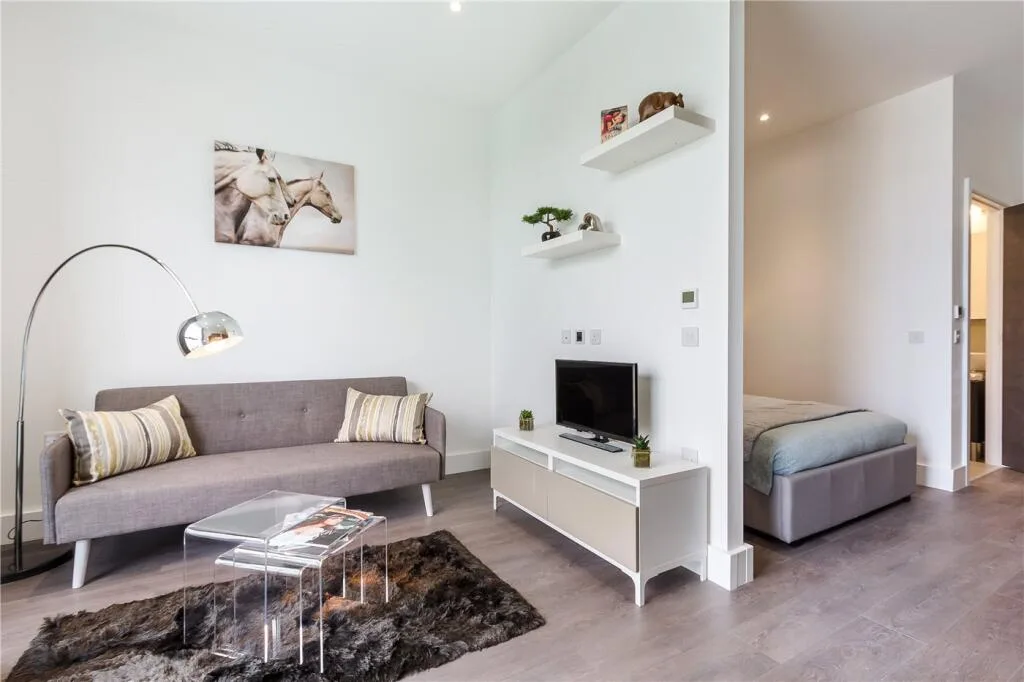 Studio flat for rent