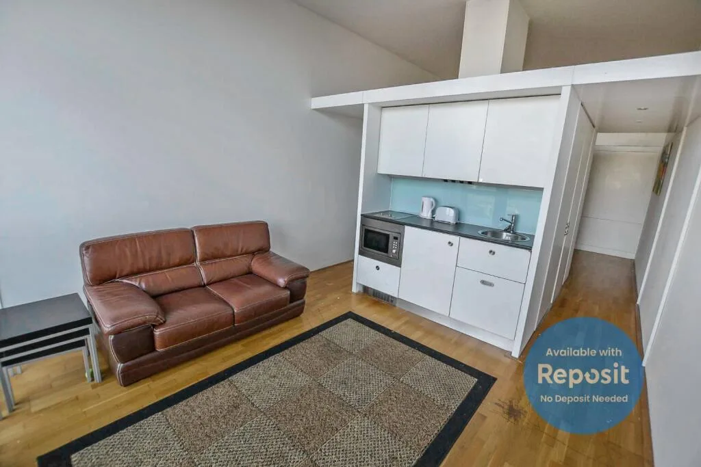 Studio flat for rent