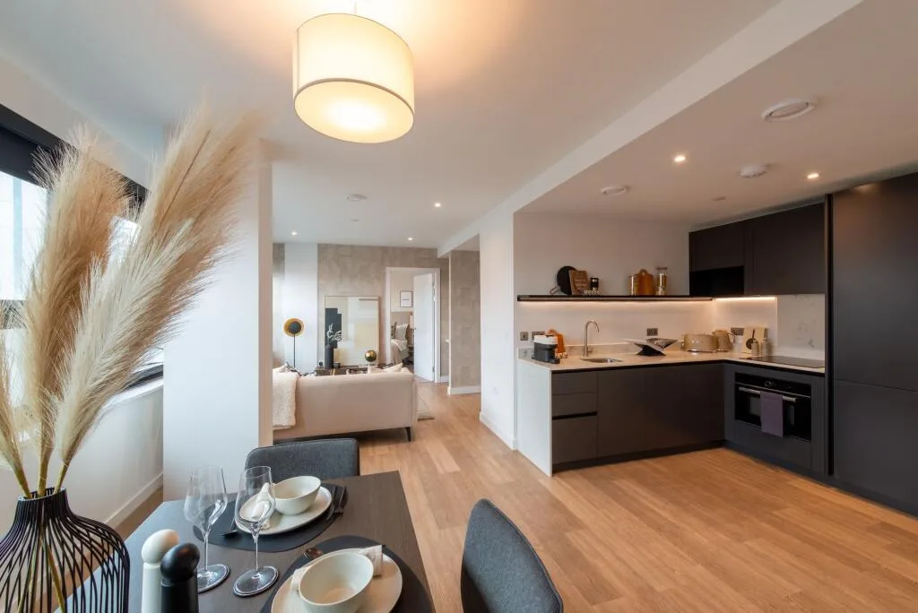 1 bedroom apartment for rent