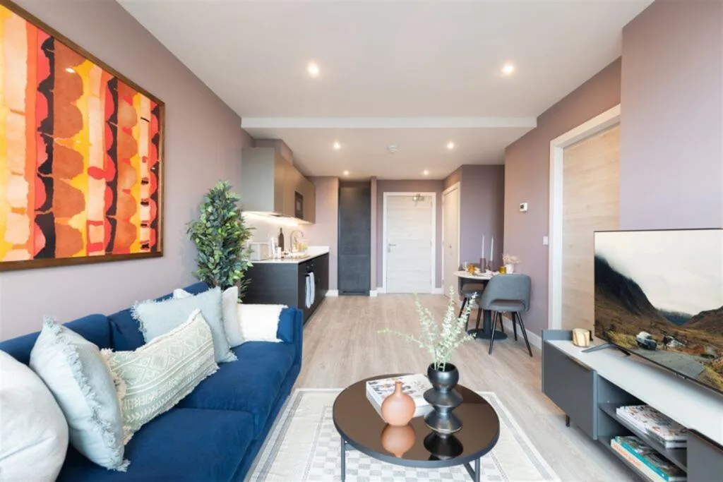 1 bedroom apartment for rent