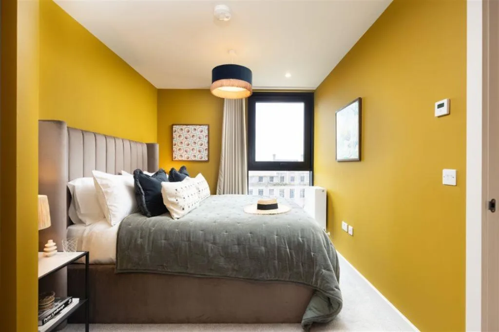 1 bedroom apartment for rent