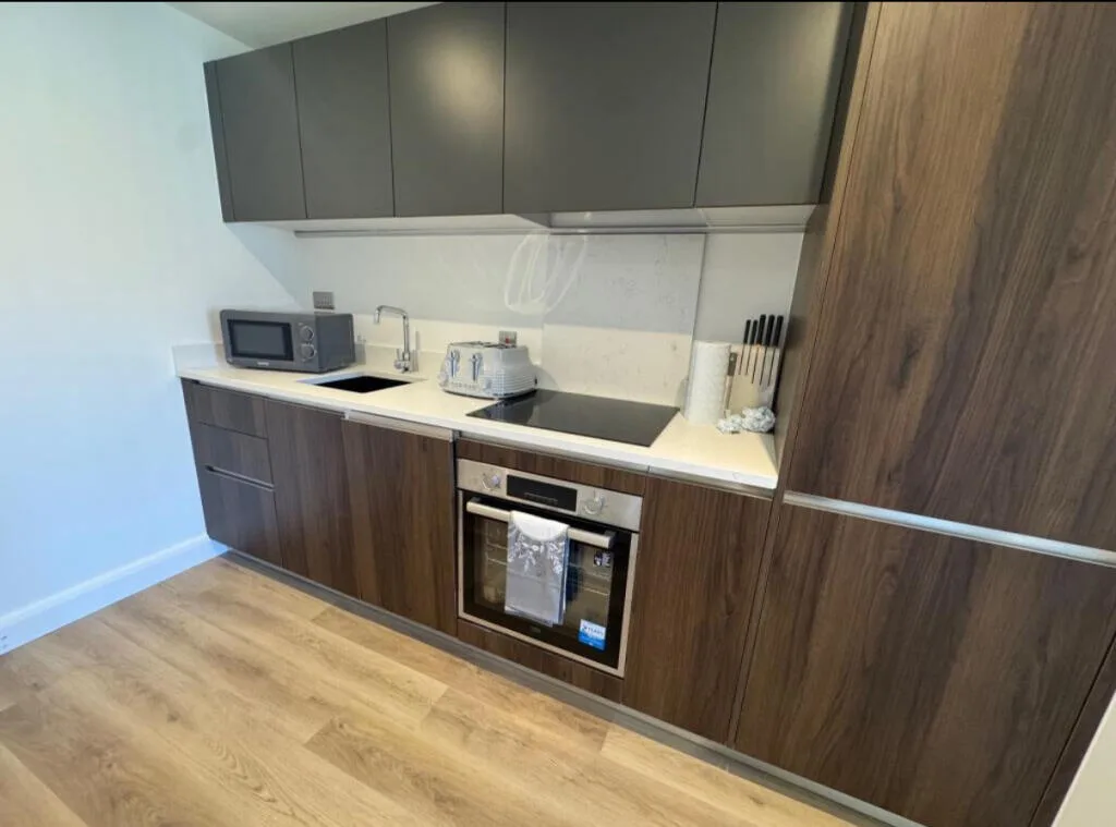 1 bedroom apartment for rent