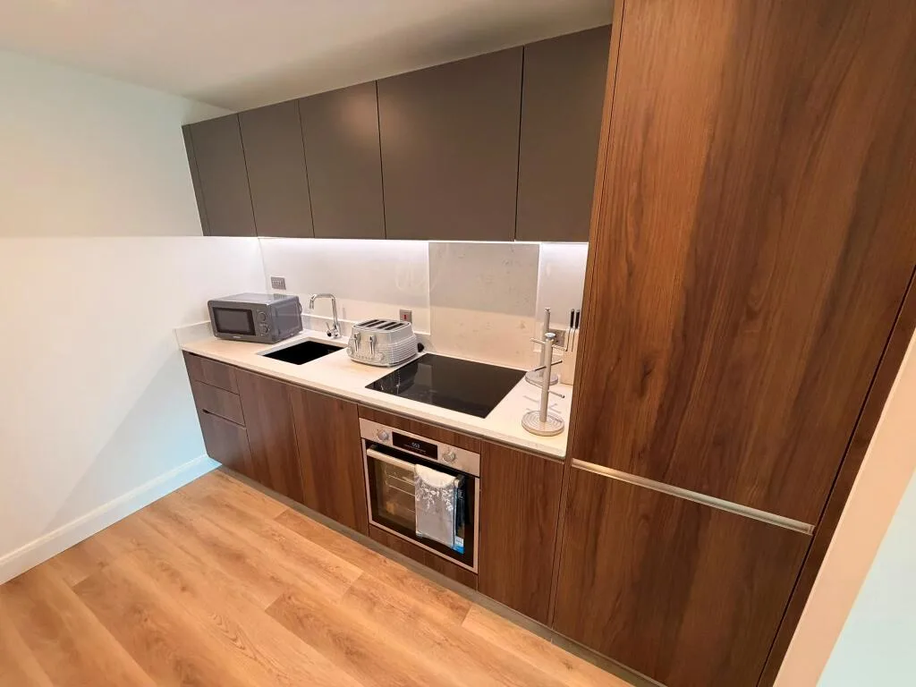 1 bedroom apartment for rent