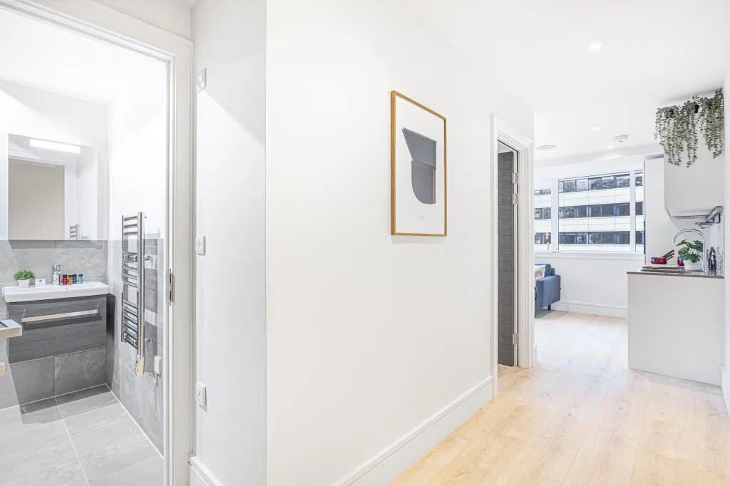 1 bedroom flat for rent