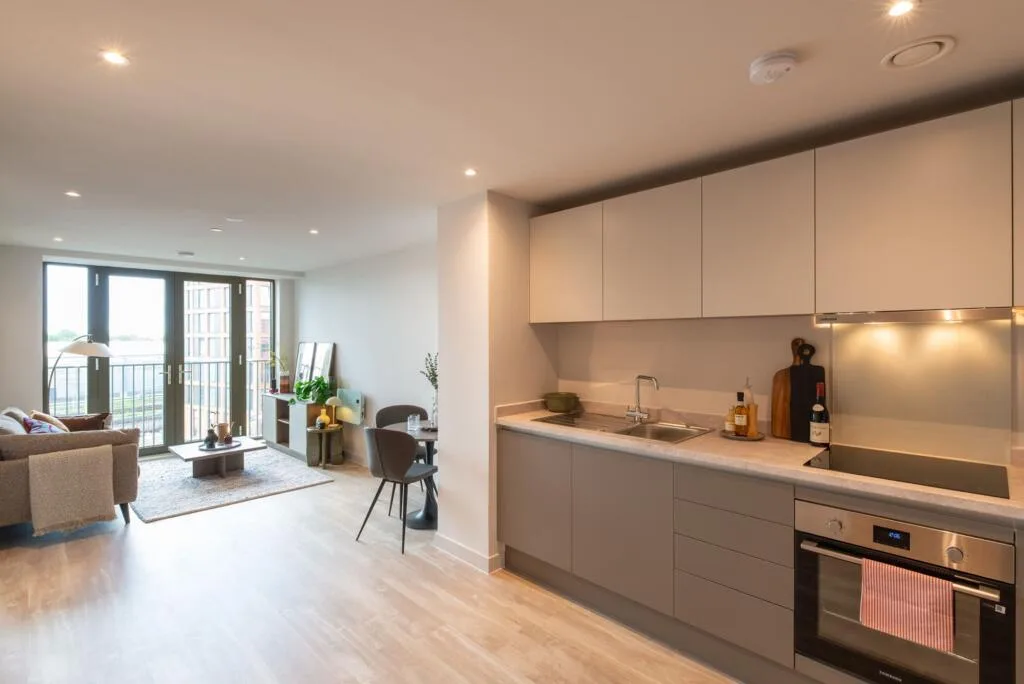 1 bedroom apartment for rent