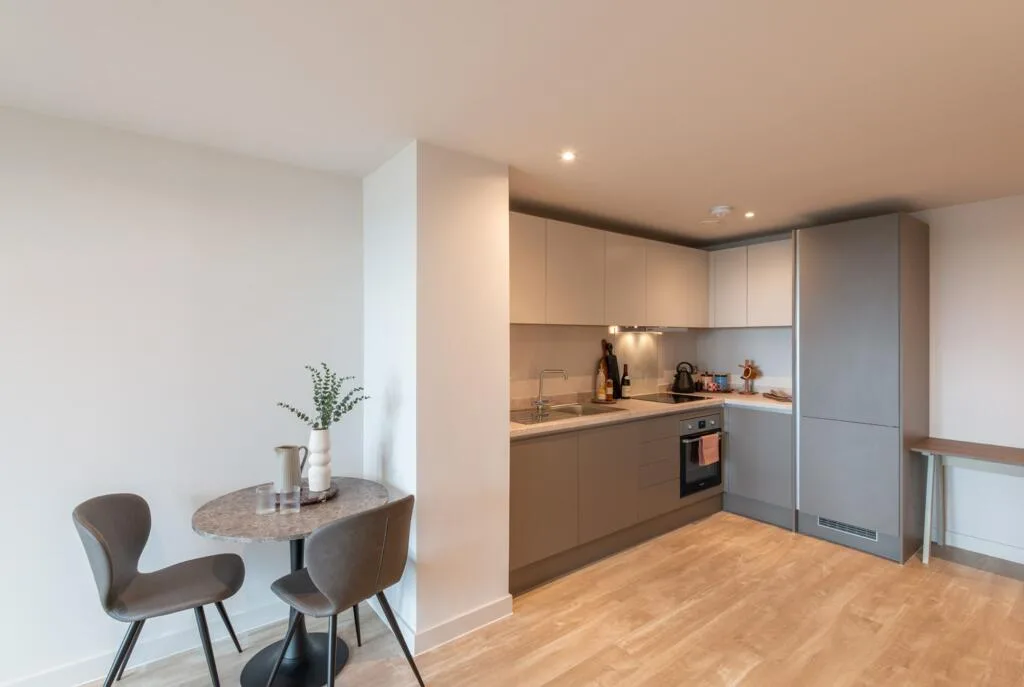 1 bedroom apartment for rent