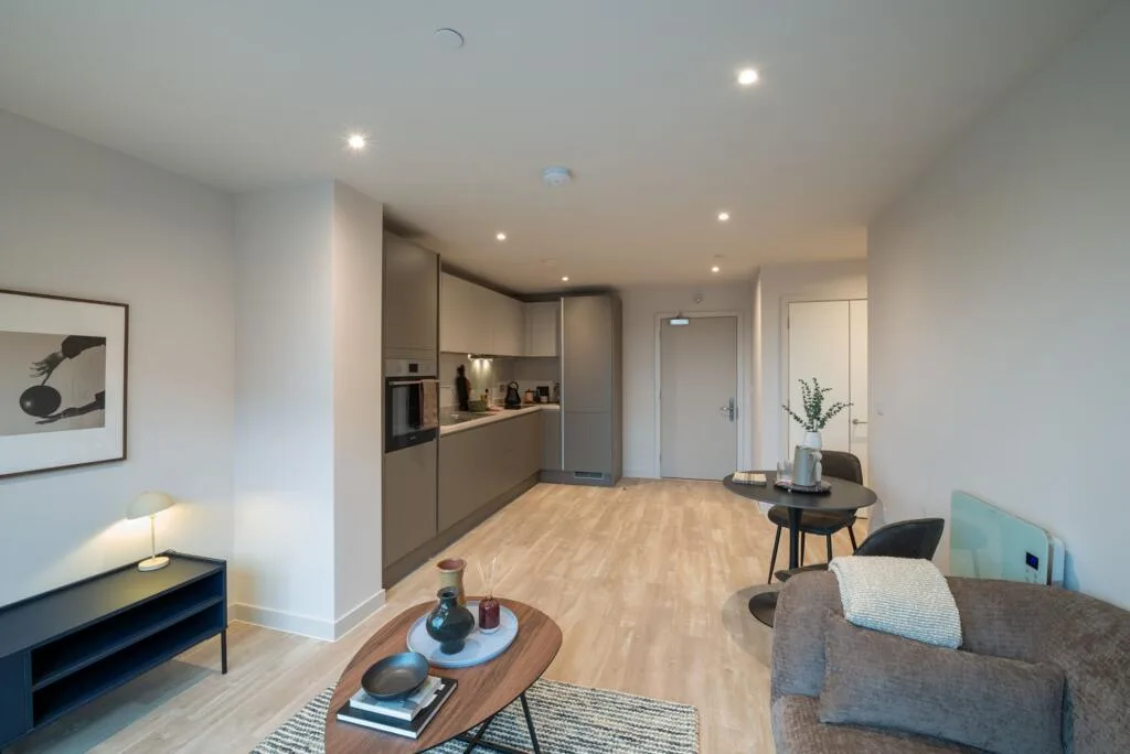 1 bedroom apartment for rent