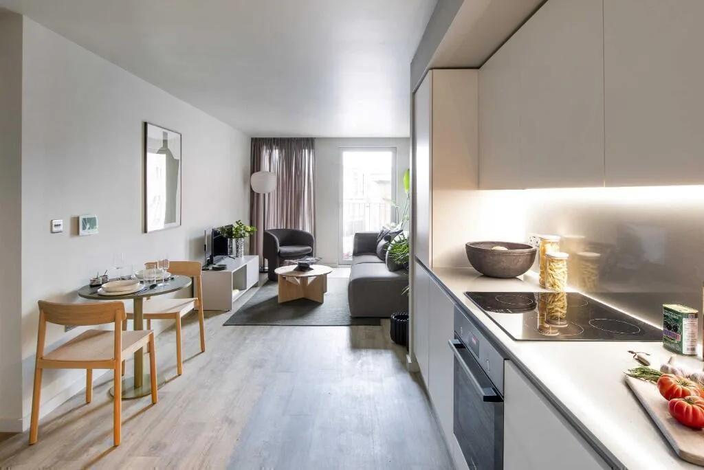 1 bedroom apartment for rent