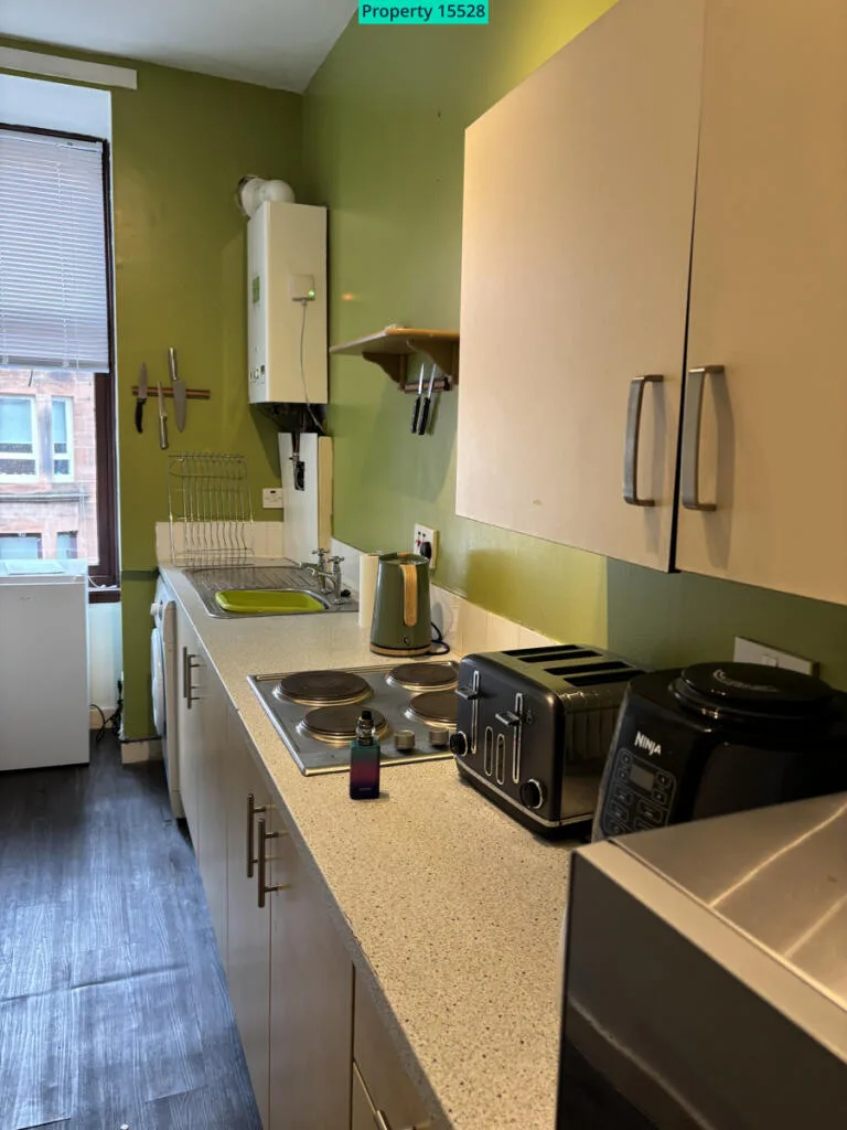 1 bedroom flat for rent