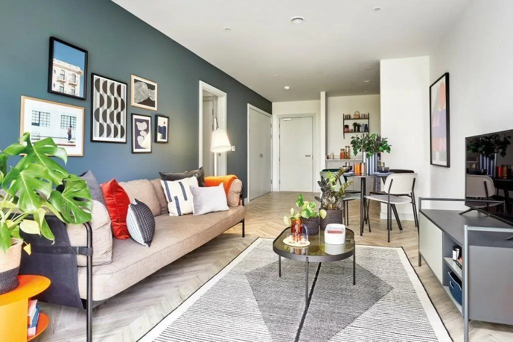 1 bedroom apartment for rent