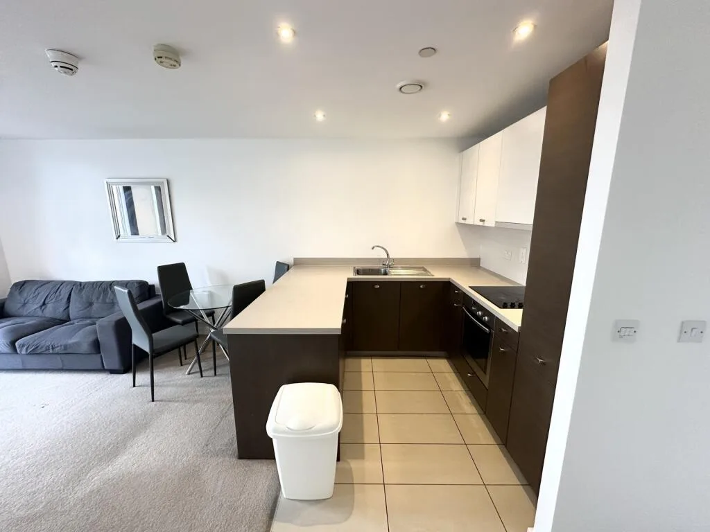 1 bedroom apartment for rent