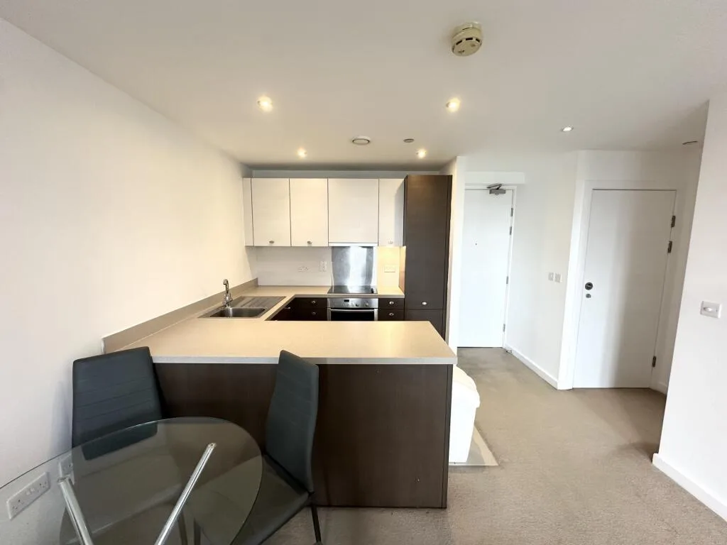 1 bedroom apartment for rent
