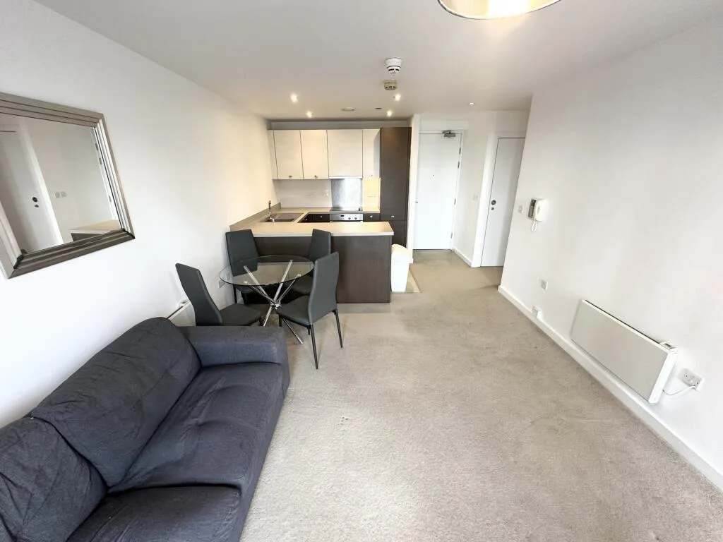 1 bedroom apartment for rent