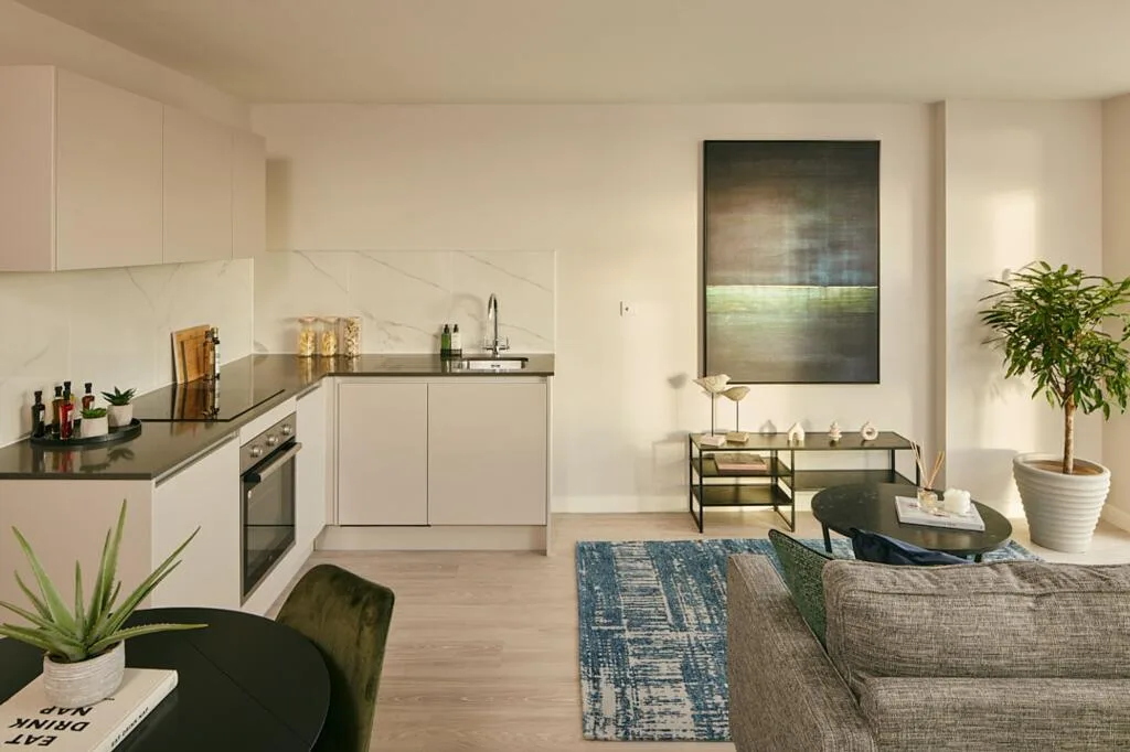 1 bedroom apartment for rent