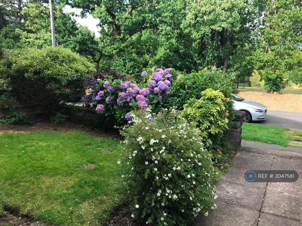 3 bedroom semi-detached house for rent