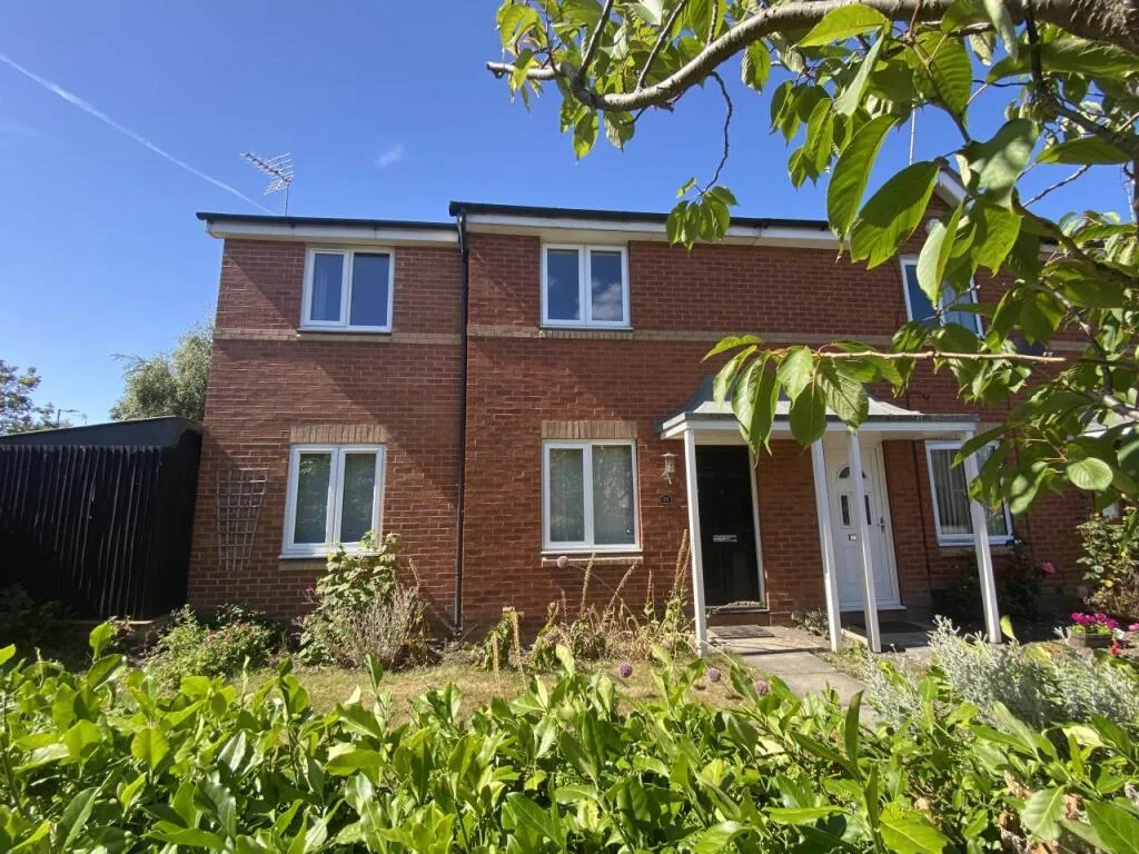 3 bedroom house for rent