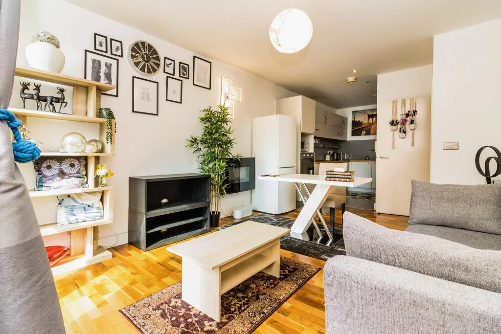 1 bedroom apartment for rent