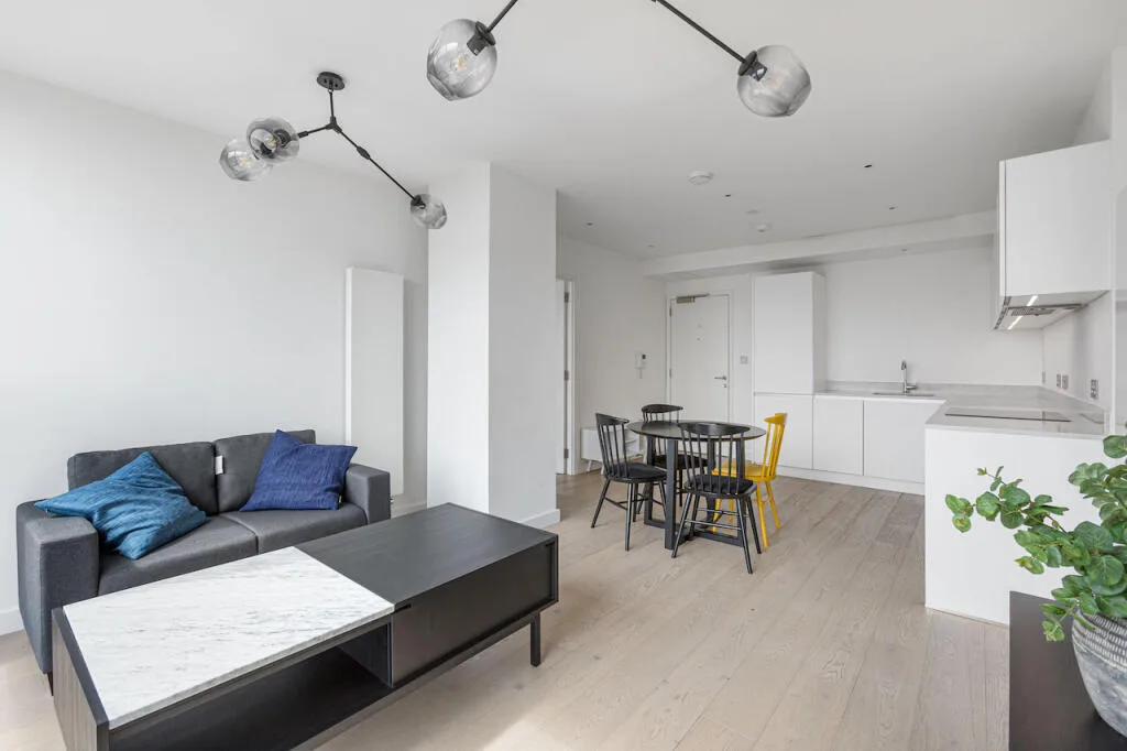 1 bedroom flat for rent