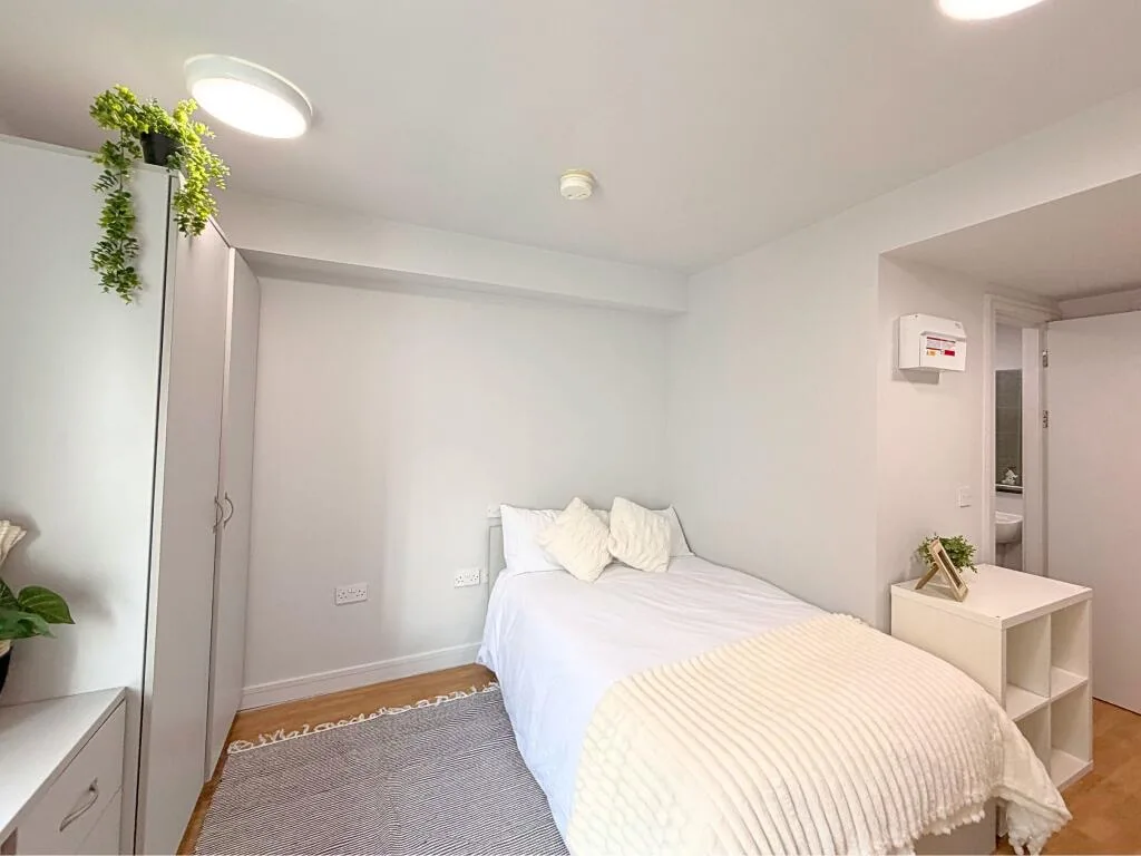 Studio flat for rent