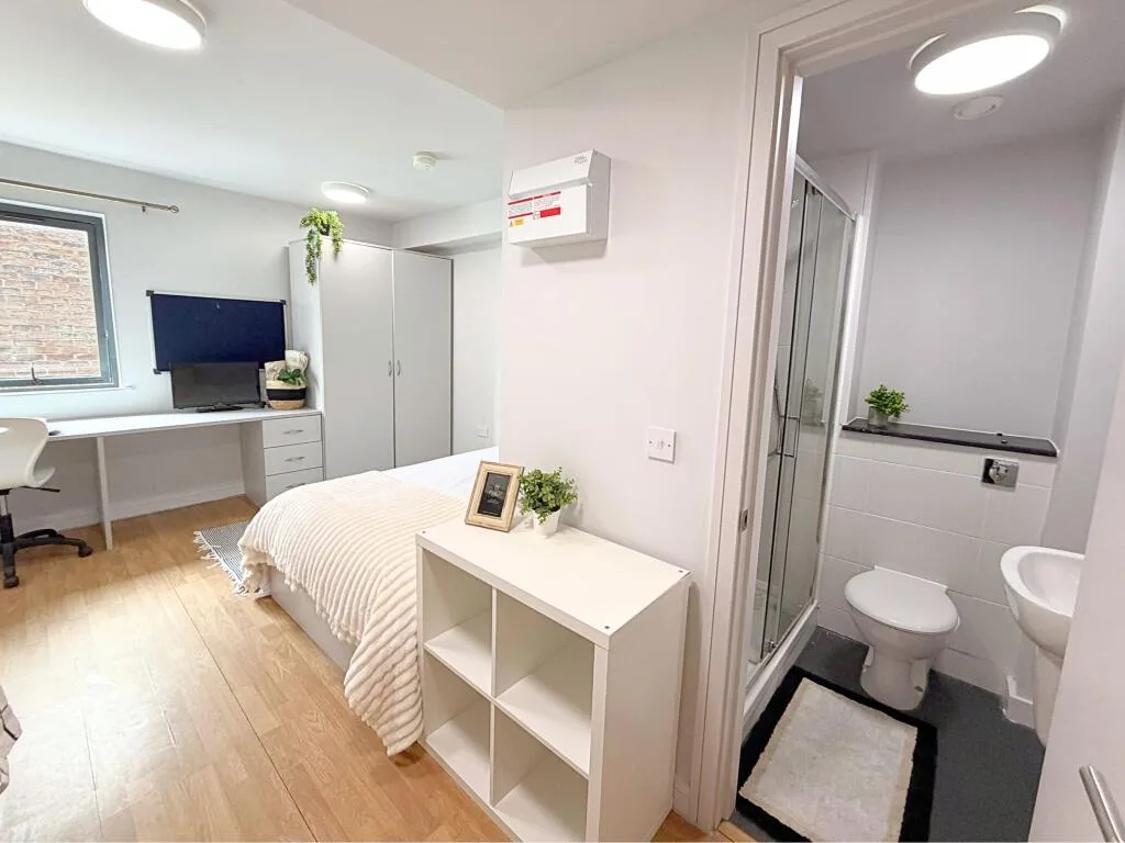 Studio flat for rent