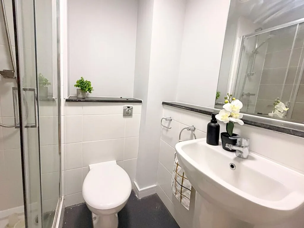 Studio flat for rent