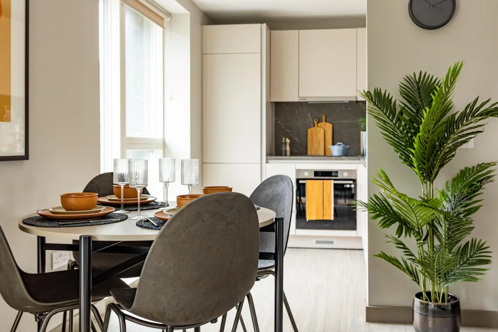 1 bedroom apartment for rent