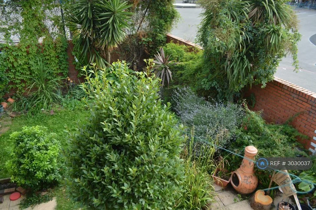 3 bedroom terraced house for rent