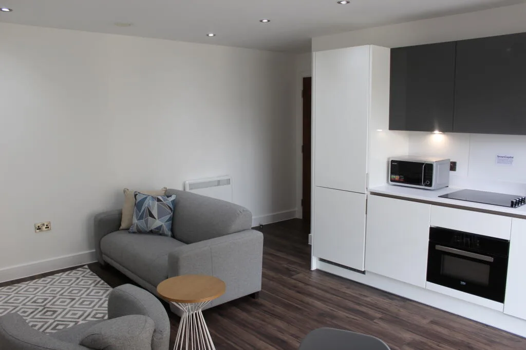 1 bedroom flat for rent