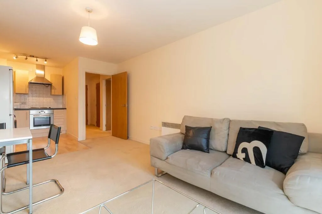 1 bedroom apartment for rent