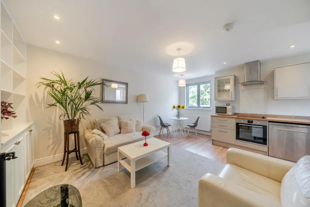 1 bedroom flat for rent