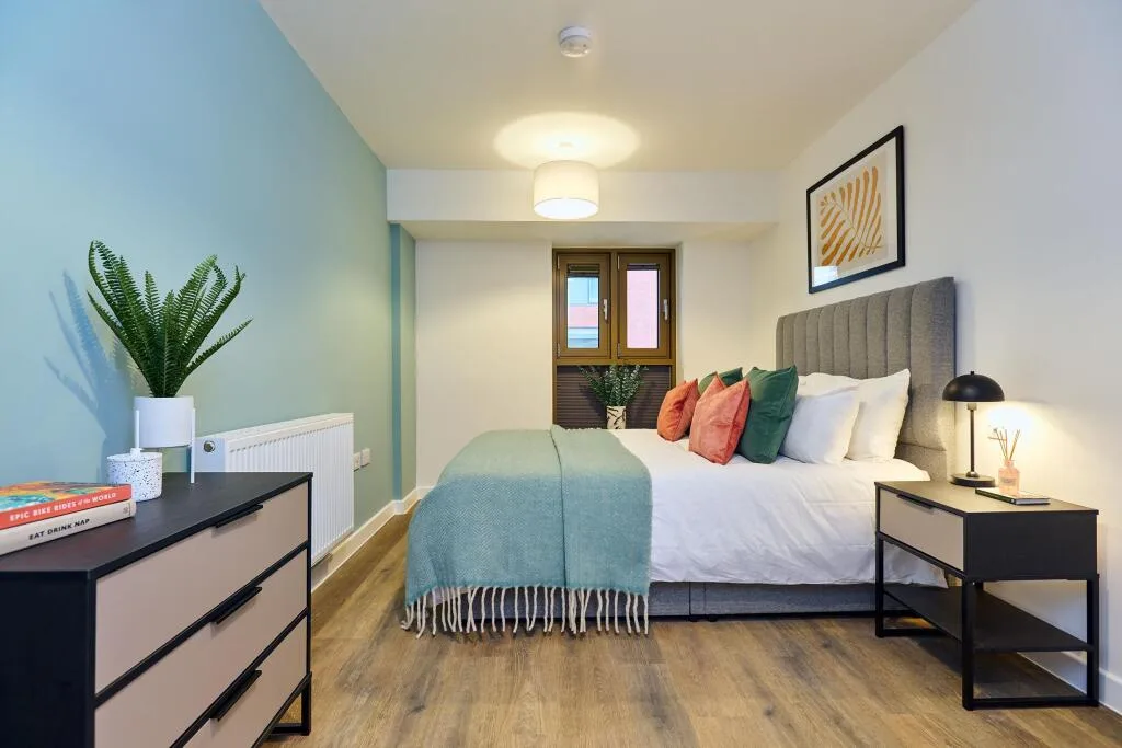 1 bedroom apartment for rent